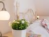 Pass The Keys Spacious Cottage Just Outside Cardigan - Sleeps 5