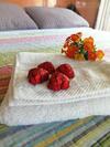 Bed & Breakfast Suite Y Loft Casa Tor�a