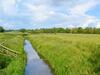Watermeadow