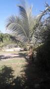 Apartamento Casitas Ballena