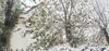 Apartamento Jardins D Ifrane