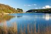 Number 27, Swanpool