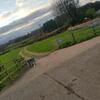Cosy Cottage In The Blackdown Hills Devon