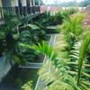 Hotel Oyo 90547 Pondok Saren Anyar