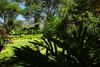 Bed & Breakfast Sunnyside Holiday Bungalow