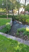 Swan House Tea Room And Bed & Breakfast