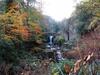Amazing, Cosy 2 Bedroom Apartment Jesmond