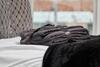 Apartamento The Exquisite Central Rugby Gem