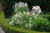 Bed & Breakfast Demeure Des Buis