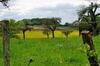 Bed & Breakfast La Maison De Printemps