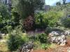 Guest House B&B Pietra Bianca