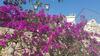 Guest House B&B Pietra Bianca