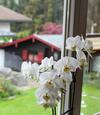 Hostal G�stehaus Schmid