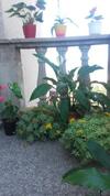 Apartment Bojana