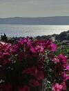 Hostal Garfild 1 Guest House