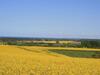 Spacious Apartment With Garden In Rerik Germany