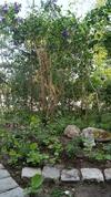 Apartamento Gem�tliche Ferienwohnung Am See