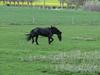 Bed & Breakfast Le Prieur� Saint Paul