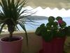 Apartamento Alex Studios
