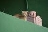 Zoi's House Luxurious Vacation
