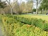 Apartamento Kleeblatthaus Putbus R�gen