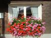Apartment Sutterl�ty