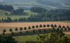 Hotel Landgasthof Dittersdorfer H�he