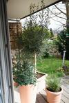 Apartamento Fewo Oasis