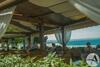 Seaview Rooms With Breakfast & Free Parking