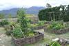 Apartamento Kuruma Farm Cottages