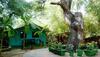 Hostal Secret Garden Resort