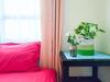 Hostal Green Surabaya Homey