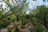 Hostal Labuana Homestay & Cafe Garden