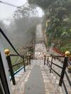 Villa Misbha Home Stay