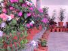 Villa Astha Homestay - Feeling Homely