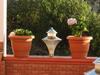 Villa Astha Homestay - Feeling Homely