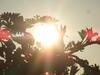 Villa Astha Homestay - Feeling Homely