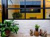 Hostal The One House