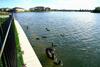 Waterfront Grand Villa For Big Group