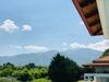 Dimeli