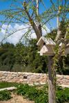 Villa Vayianna's Garden House