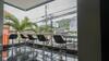 Albergue Tall Tree Kata Phuket
