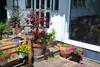 Apartamento Coralie