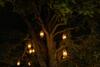 Hotel Tilia Resort