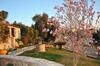 Apartamento Amaryllis House
