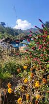 Teesta Tendong Homestay