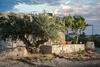 Apartamento Margarita's Stone House