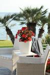 Luxurious Beachfront Family House