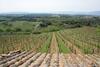 Agroturismo Il Boschetto