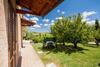 Agroturismo Agriturismo Podere Camollia